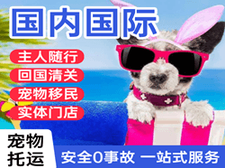 邯郸航空运输国际宠物托运 【国